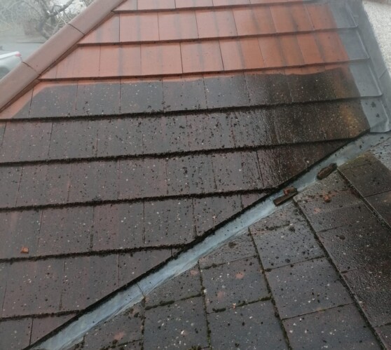 Roof cleaning before & After