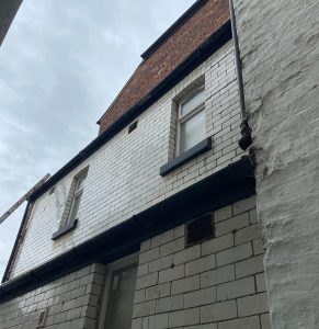 gutter cleaning