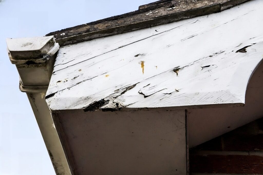 Rotting old Fascias