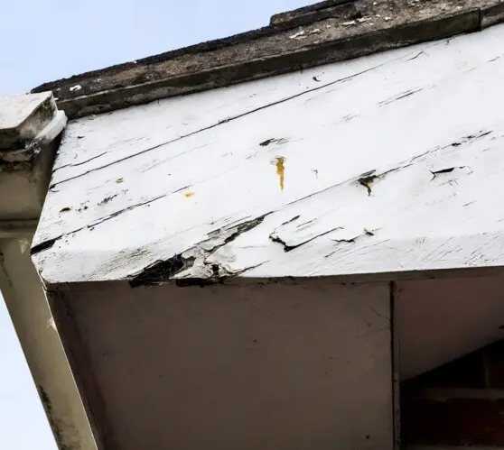 Rotting old Fascias
