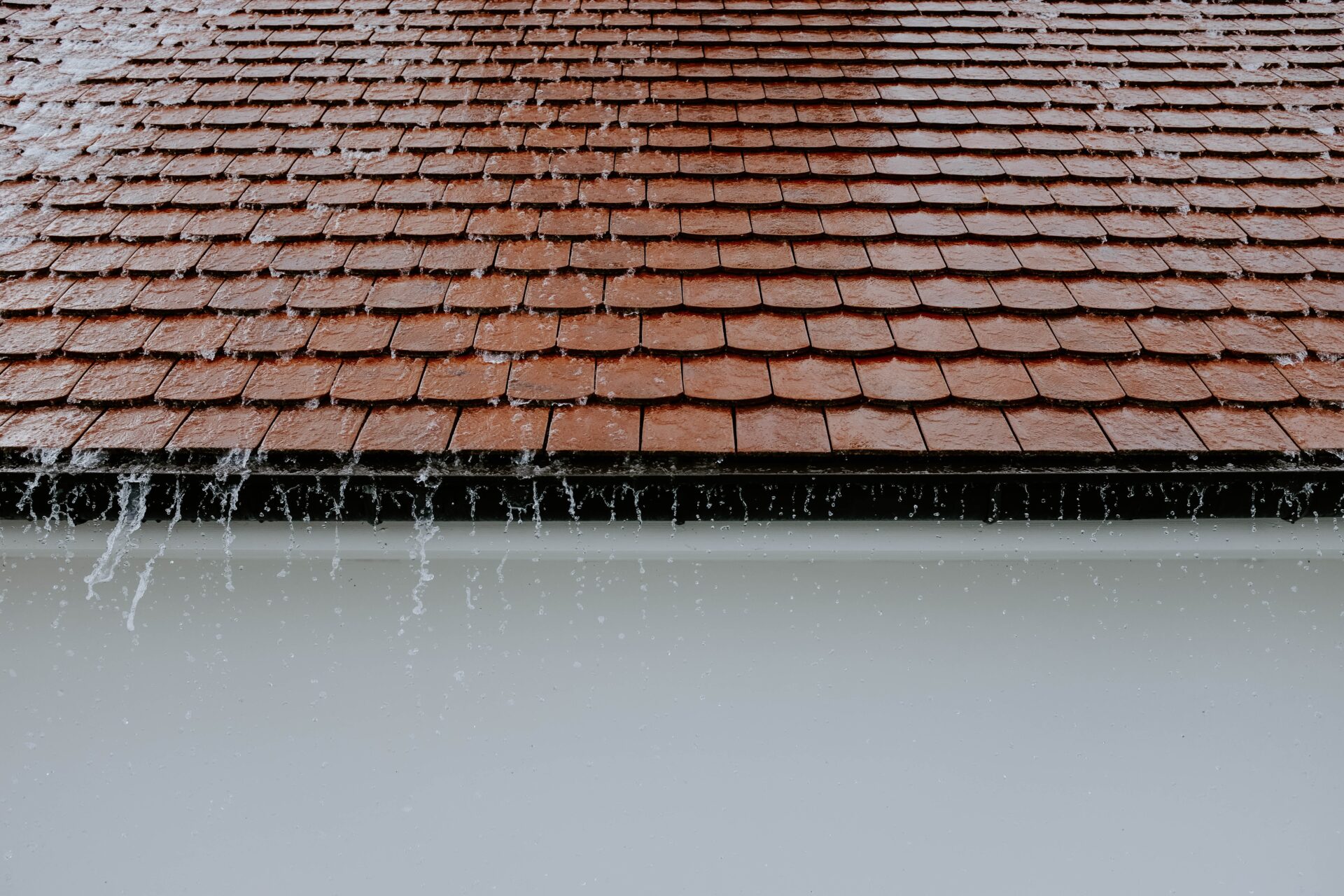 Professional Gutter Maintenance Services