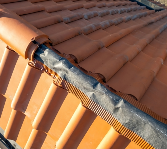 Continuous Dry Ridge System TEG Blog - Total Exterior Group