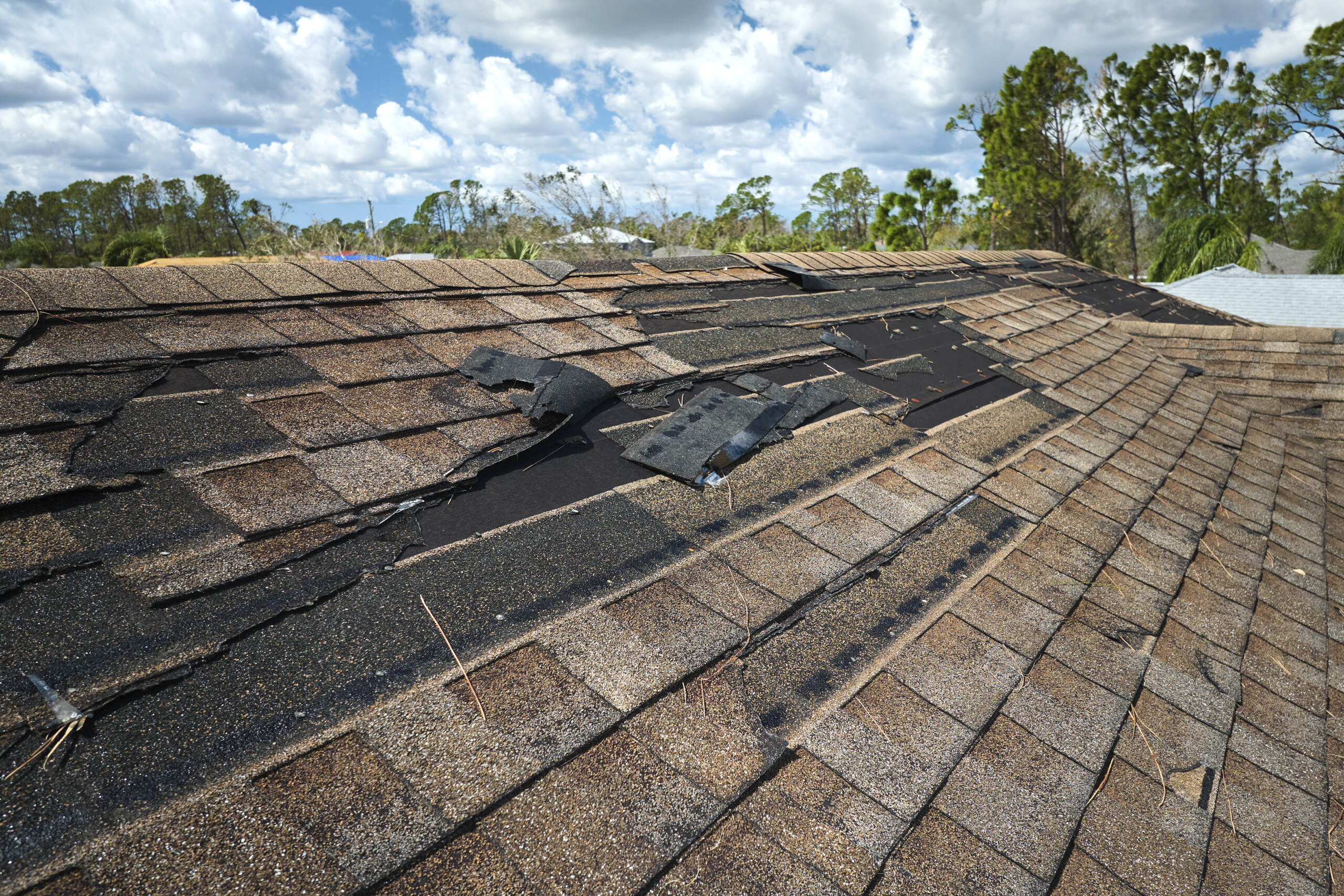 How Summer Heat Affects Your Roof: What You Can Do About It